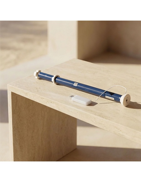 Motor + WiFi Bridge für Rollläden - Automatisieren Sie Ihre Rollläden per Sprachsteuerung