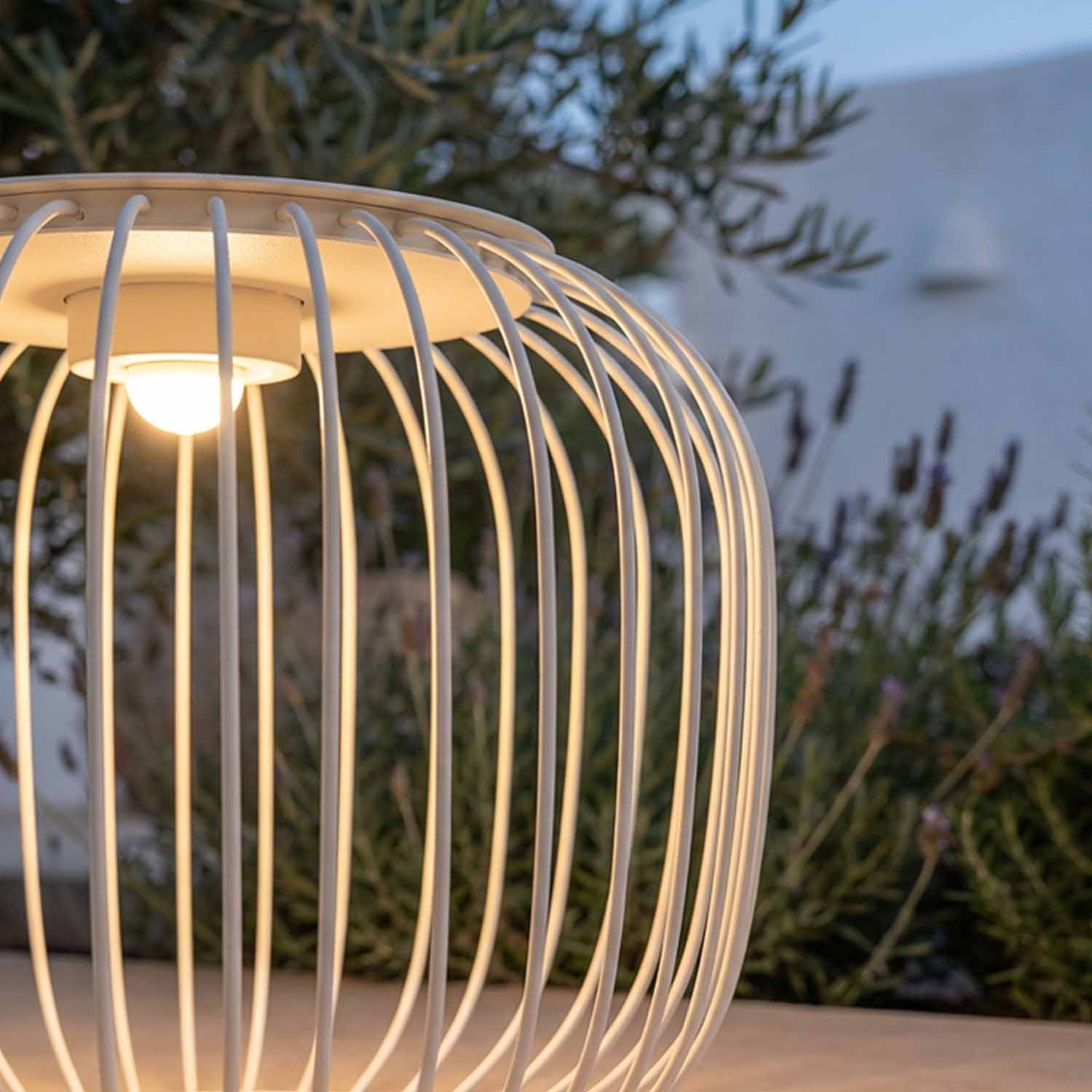 Professionelle CREE-LED